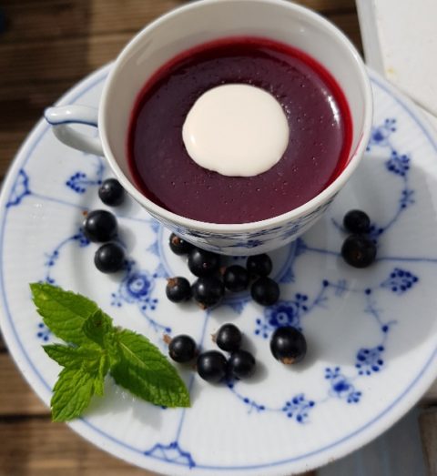 Danish Rødgrød Med Fløde - red berry pudding with cream