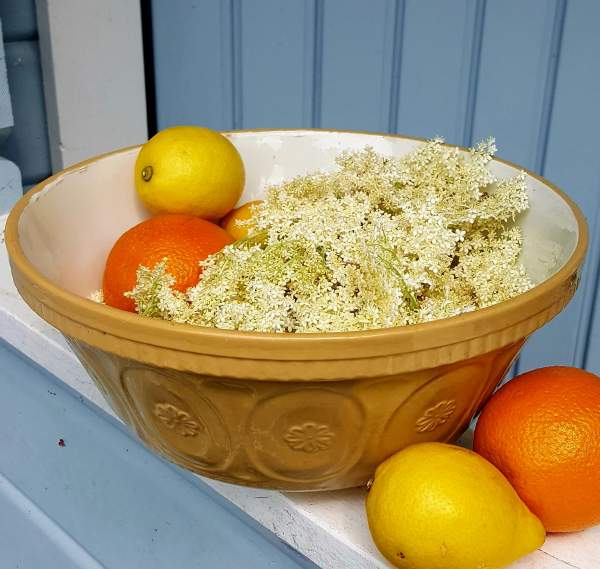 hyggestyle-elderflower-cordial-recipe Bex's easy elderflower cordial recipe