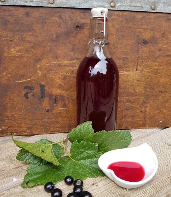 home made fruit vinegar recipe