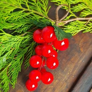 Large red berry cluster with leaves