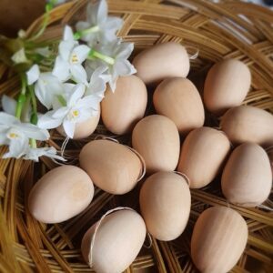 wooden-easter-egg-hanging-crafts-300x300 Home New