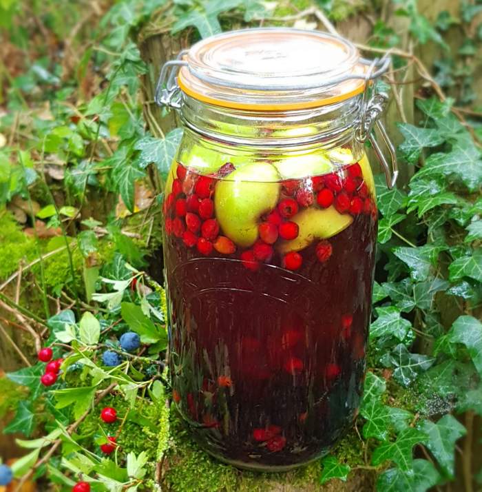 Our favourite hedgerow schnapps recipe!