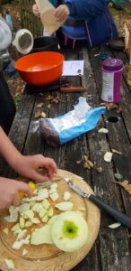 apple-cobbler-recipe-2-146x300 Quick campfire blackberry and apple cobbler recipe