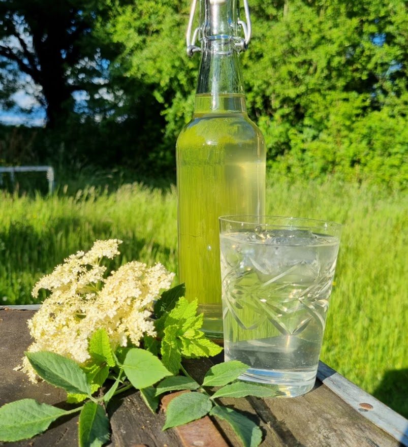 Bex’s easy elderflower cordial recipe
