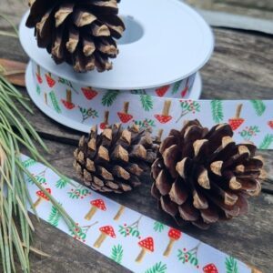 Red and white fairytale toadstool ribbon, 25mm