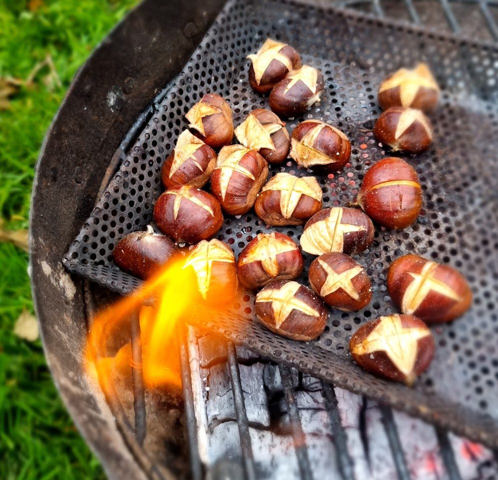 Foraging for sweet chestnuts