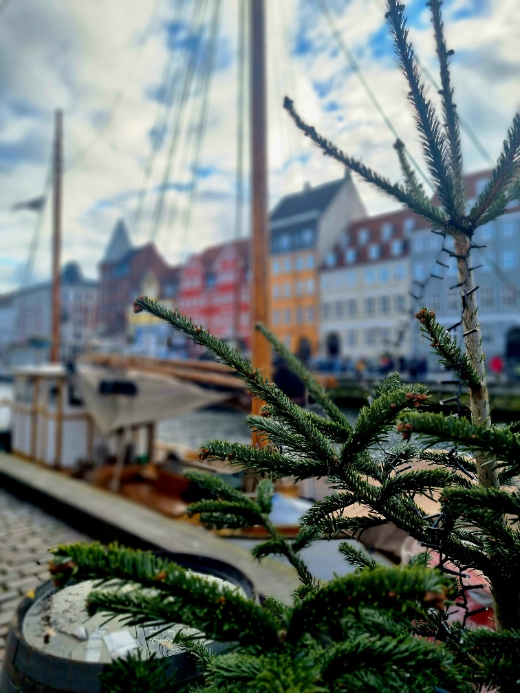 nyhavn copenhagen christmas tree