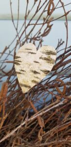 birch-bark-heart-146x300 DIY large foraged rustic silver birch hearts wreath