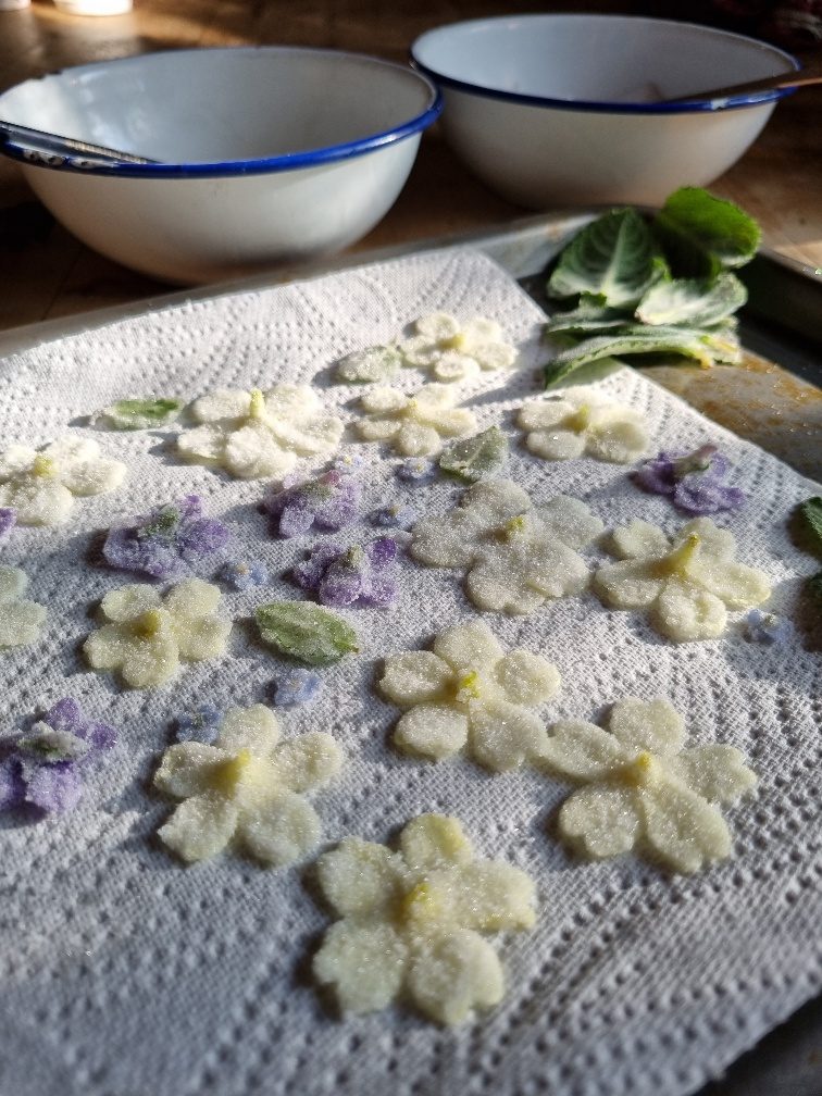 How to crystallise Spring wildflowers